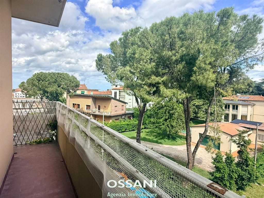 immagine annuncio 5 di 14