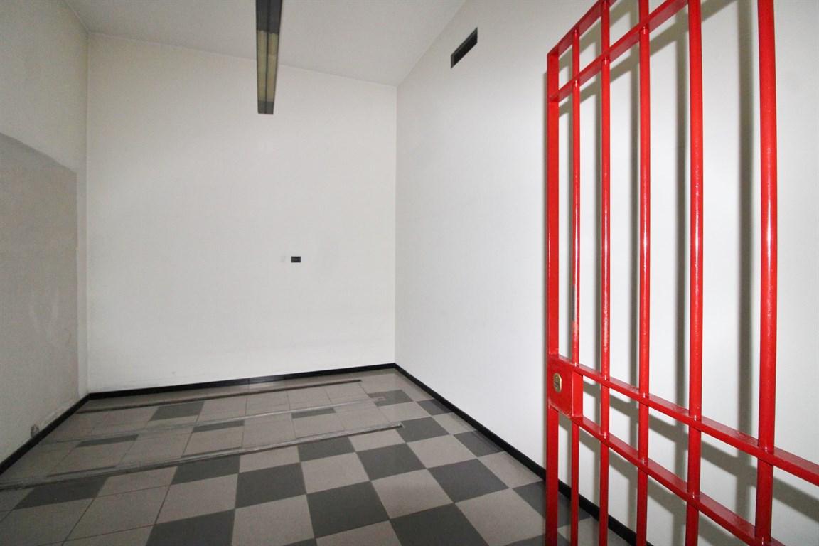 immagine annuncio 6 di 12