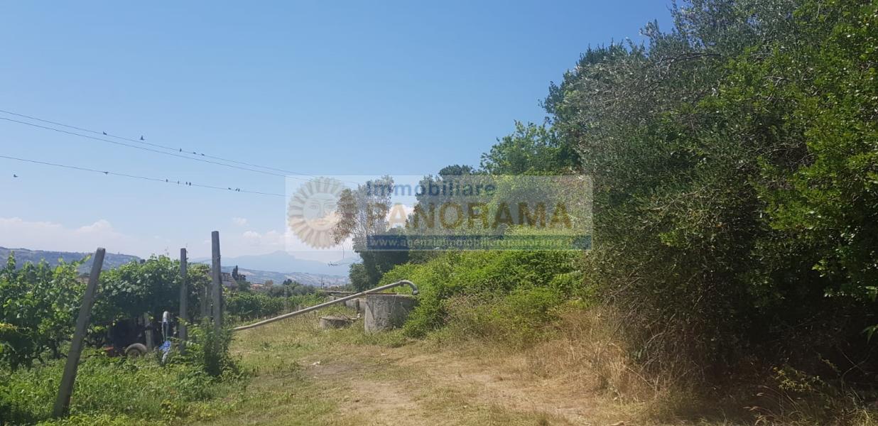 Rif. CVE14 Tenuta in vendita a Monteprandone