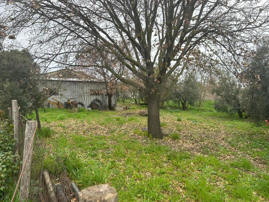 magazzino a Capalbio 120 metri quadri