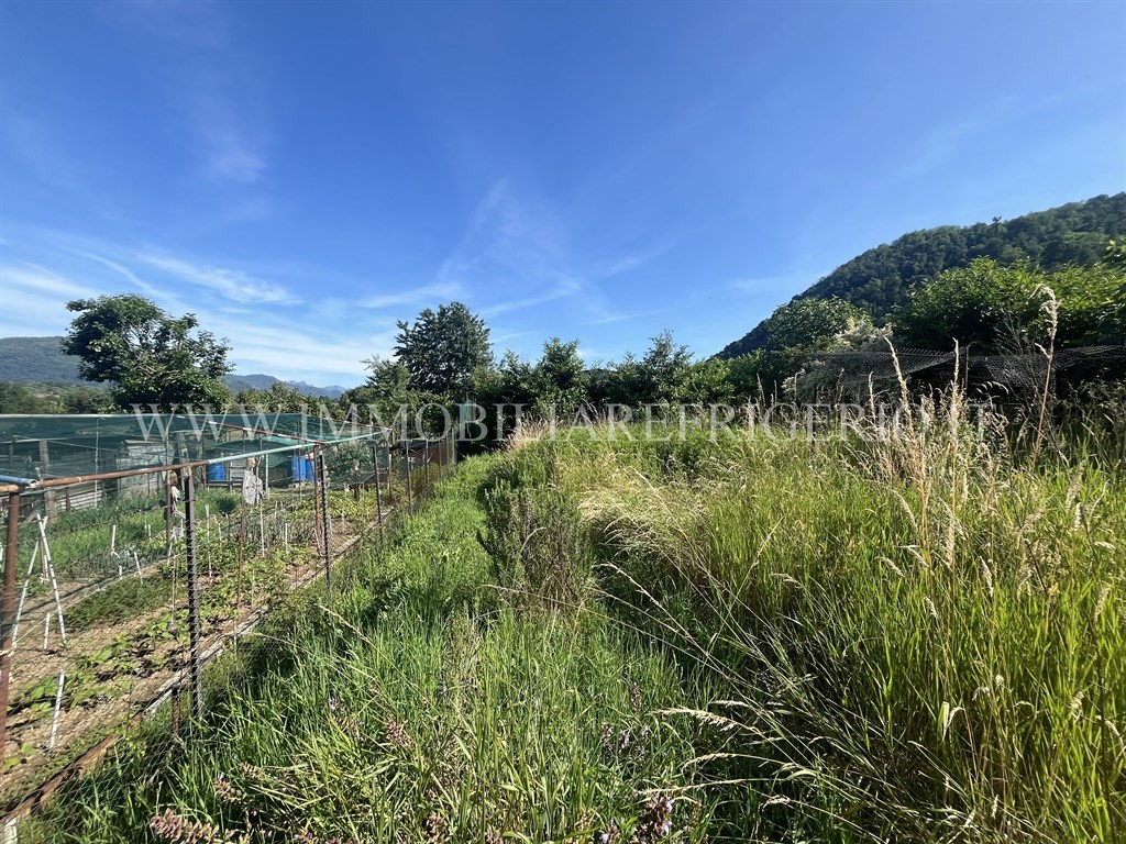 Vendita terreno agricolo Villa d'Adda superficie 4690m2