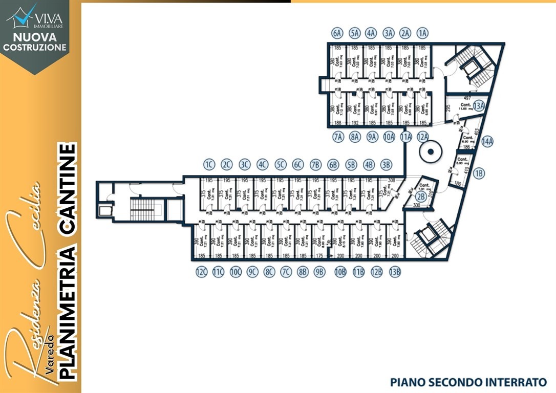 immagine annuncio 5 di 15