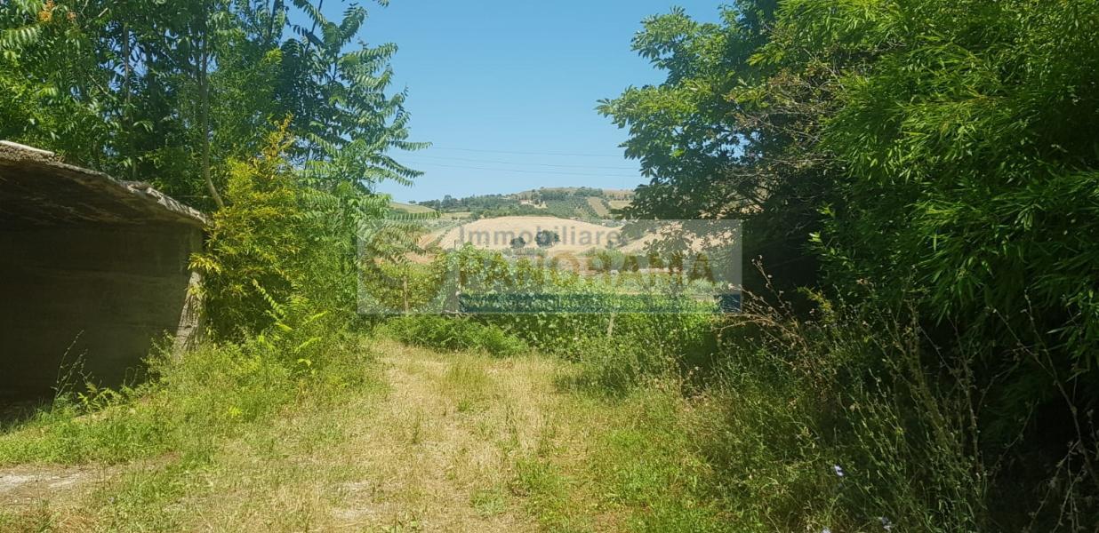 Rif. CVE14 Tenuta in vendita a Monteprandone