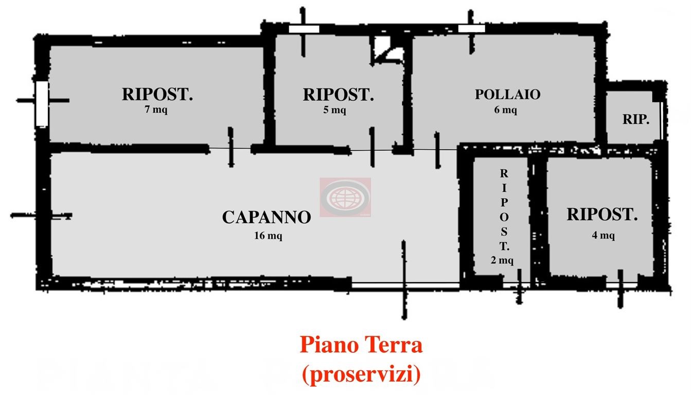 immagine annuncio 4 di 5