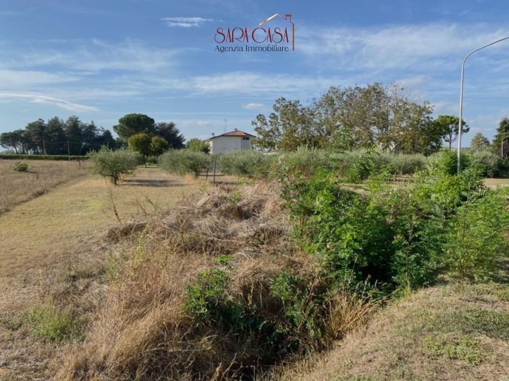 immagine annuncio 9 di 12