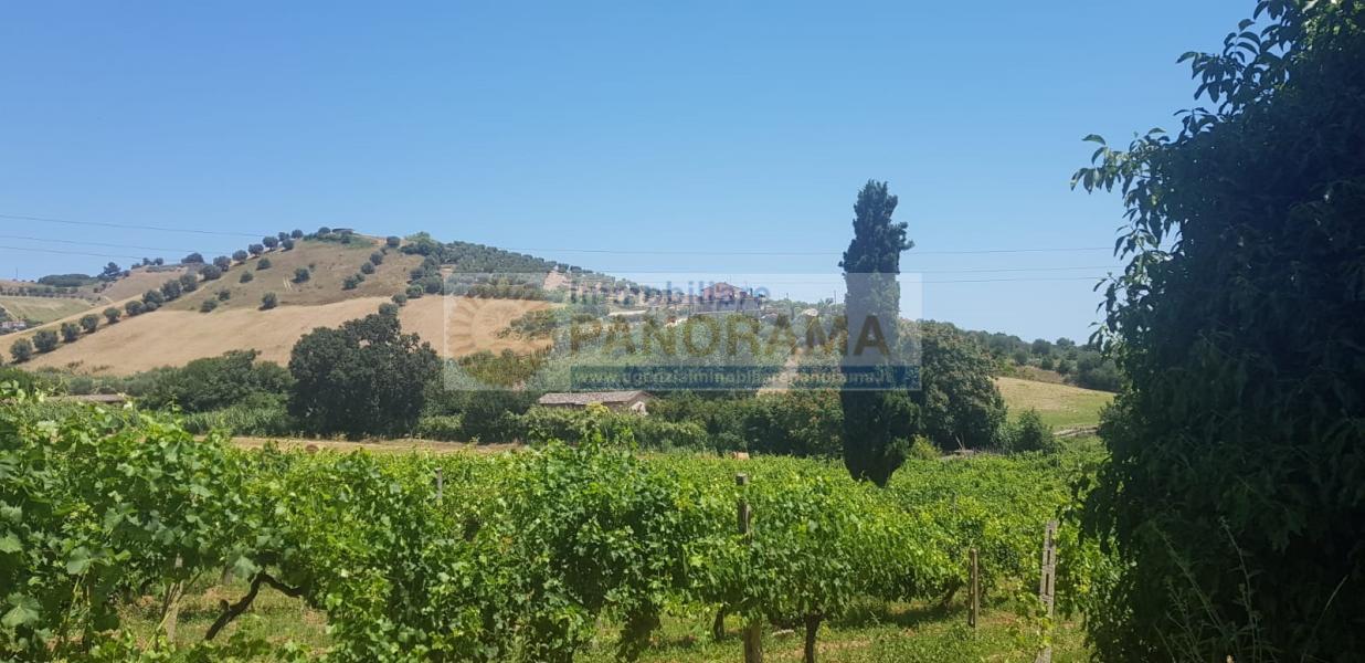 Rif. CVE14 Tenuta in vendita a Monteprandone