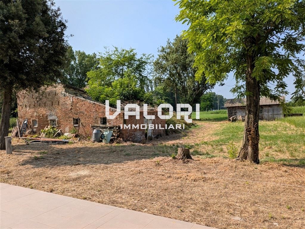 immagine annuncio 12 di 14