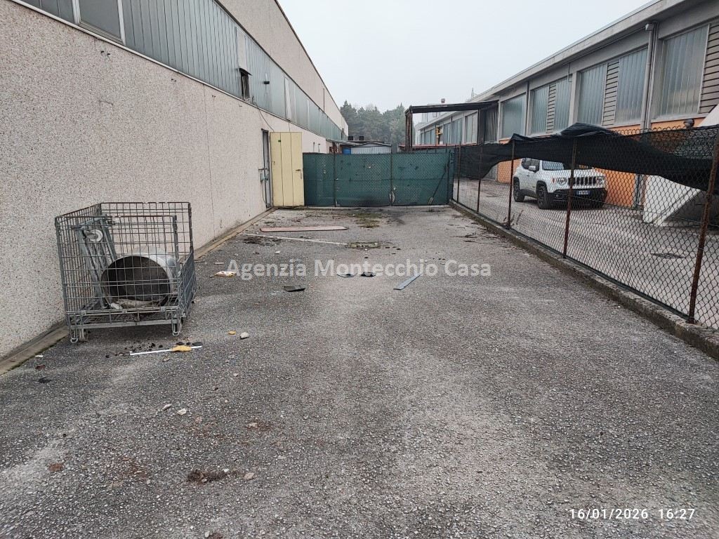 immagine annuncio 9 di 15