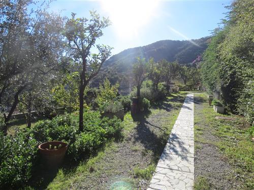 Alassio, primissima collina, vendesi villa con giardino e bellissima vista mare .