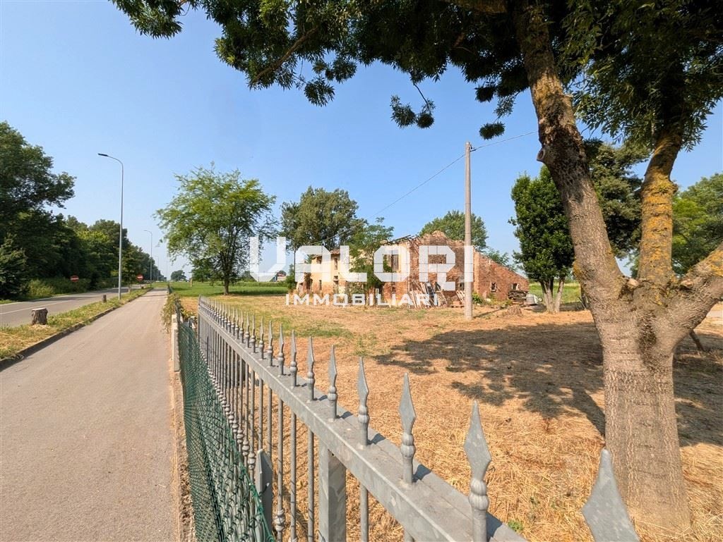 immagine annuncio 4 di 14