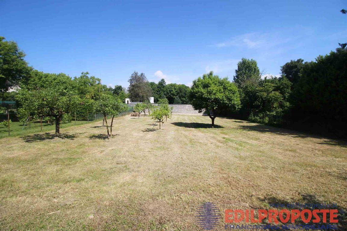 immagine annuncio 7 di 15