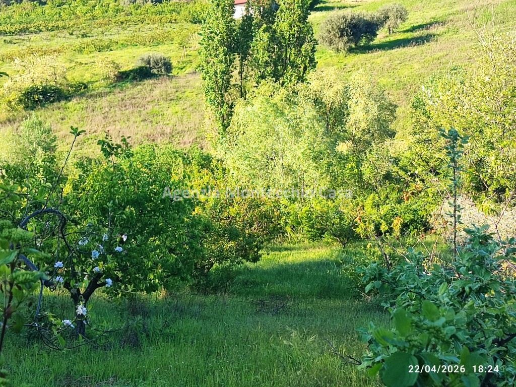 immagine annuncio 3 di 9
