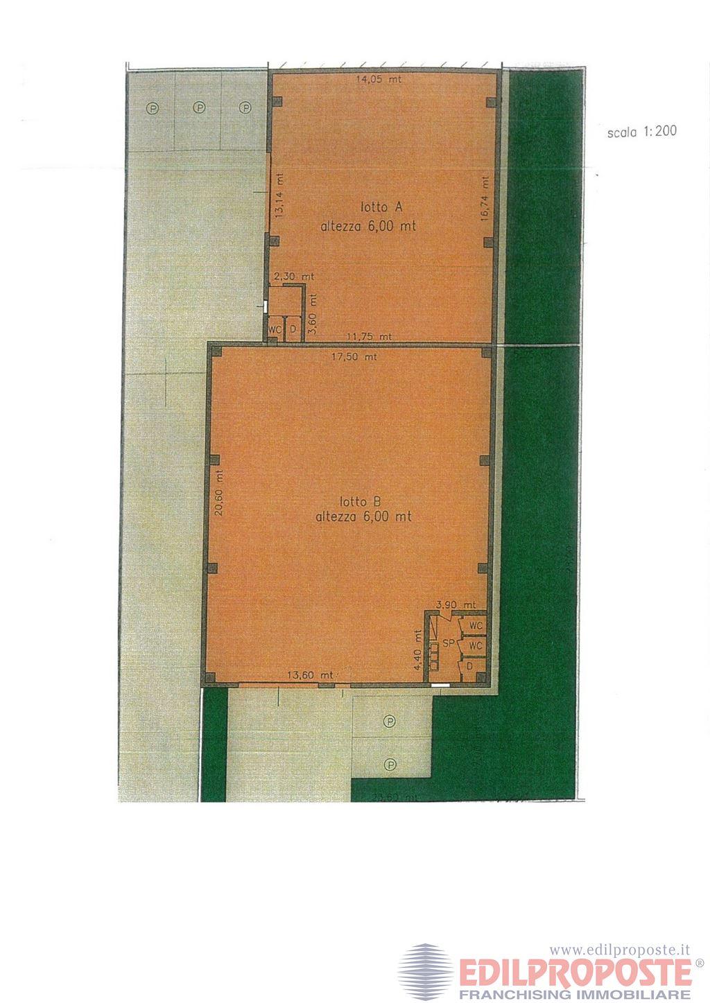 immagine annuncio 5 di 6