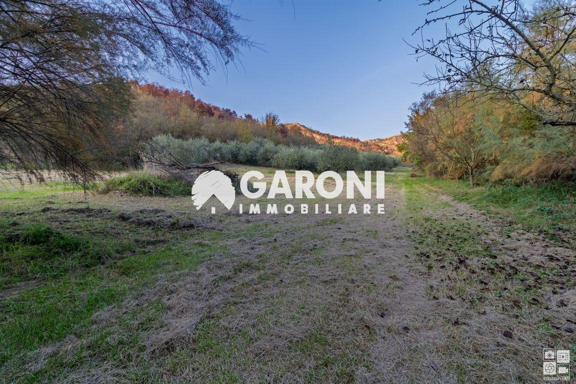 immagine annuncio 3 di 6