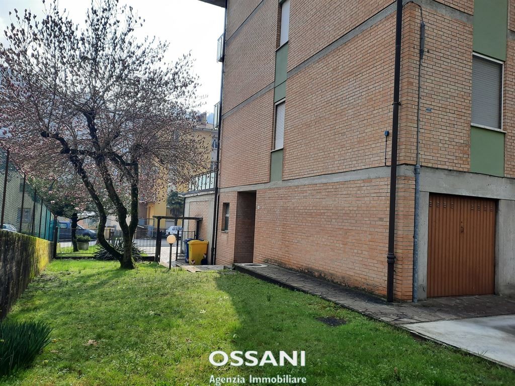 immagine annuncio 11 di 13