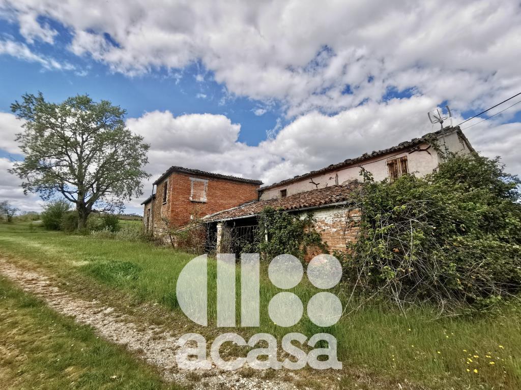azienda agricola a Mercato Saraceno 280 metri quadri