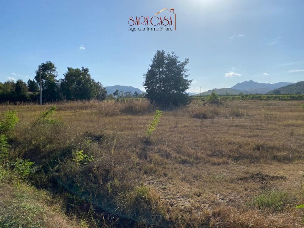 immagine annuncio 8 di 12