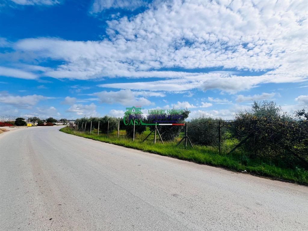 Rif: 2659 - Lotto di terreno agricolo con uliveto in Contrada Bastonaca – Vittoria/Pedalino