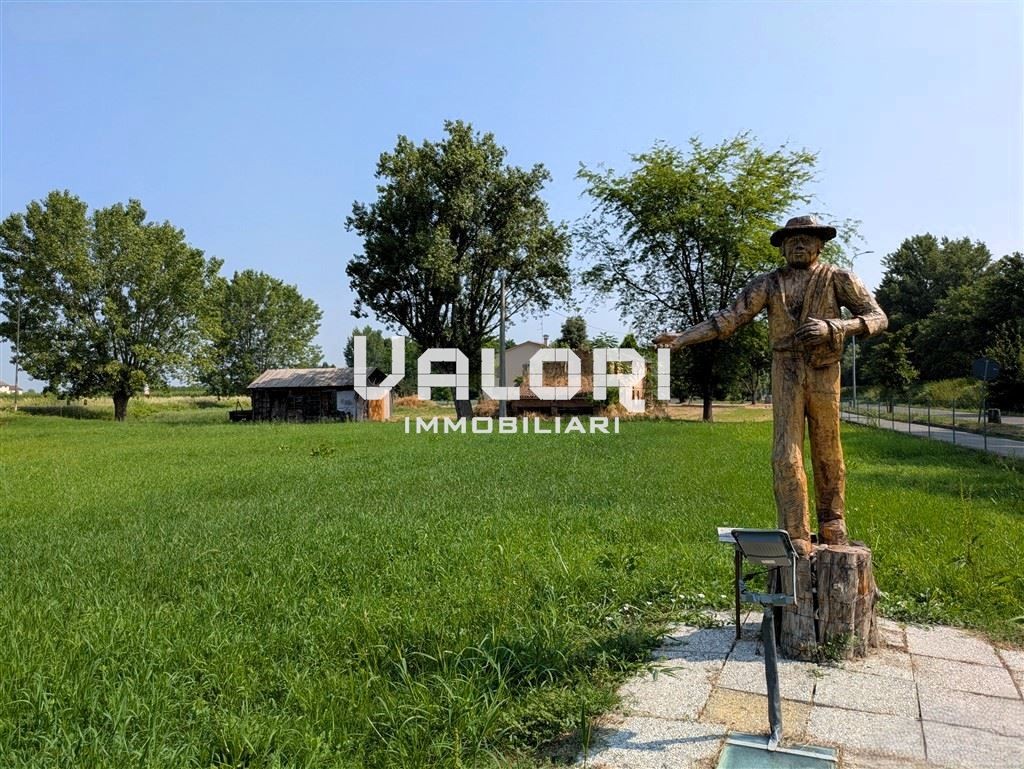 immagine annuncio 5 di 14