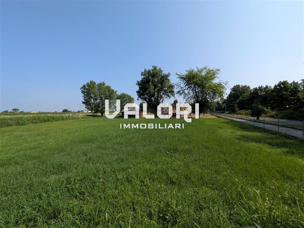 immagine annuncio 6 di 14