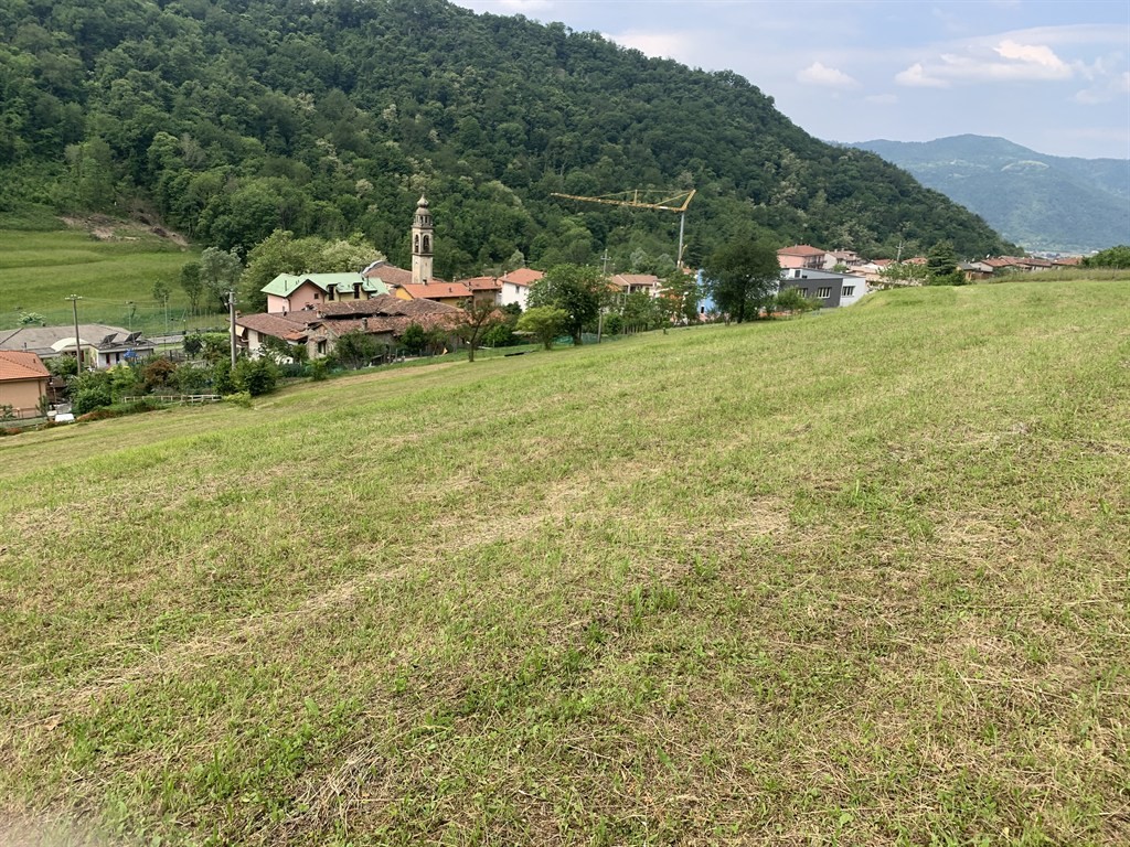 Vendita terreno residenziale Torre de' Busi superficie 2985m2