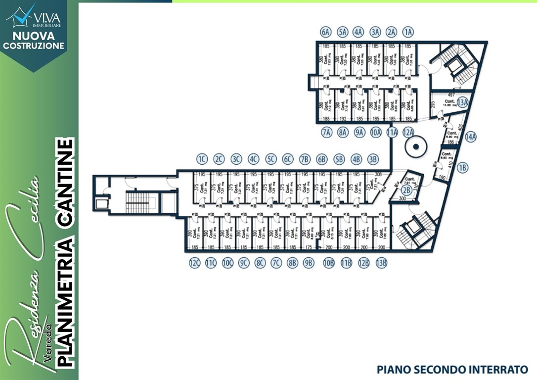 immagine annuncio 5 di 15