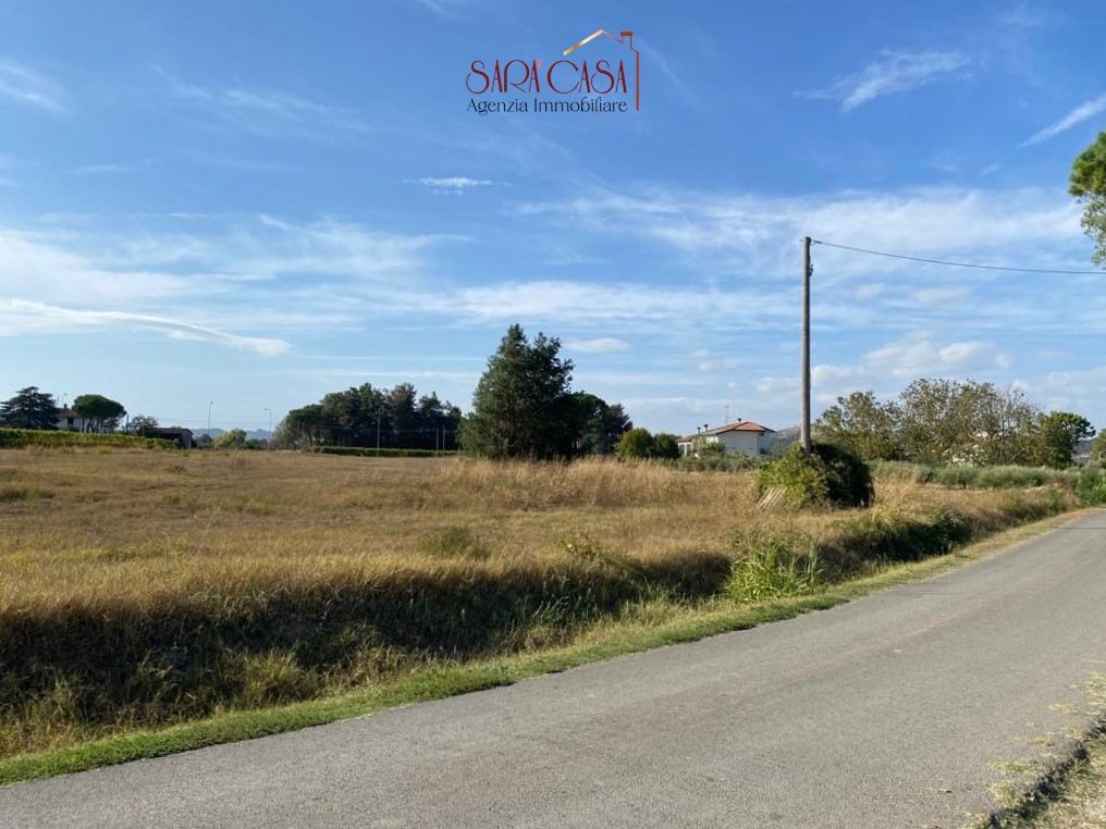 immagine annuncio 6 di 12