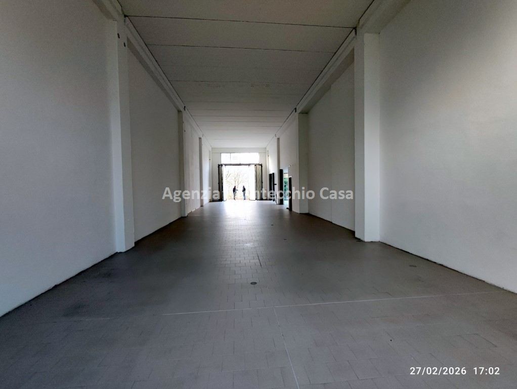 immagine annuncio 3 di 11