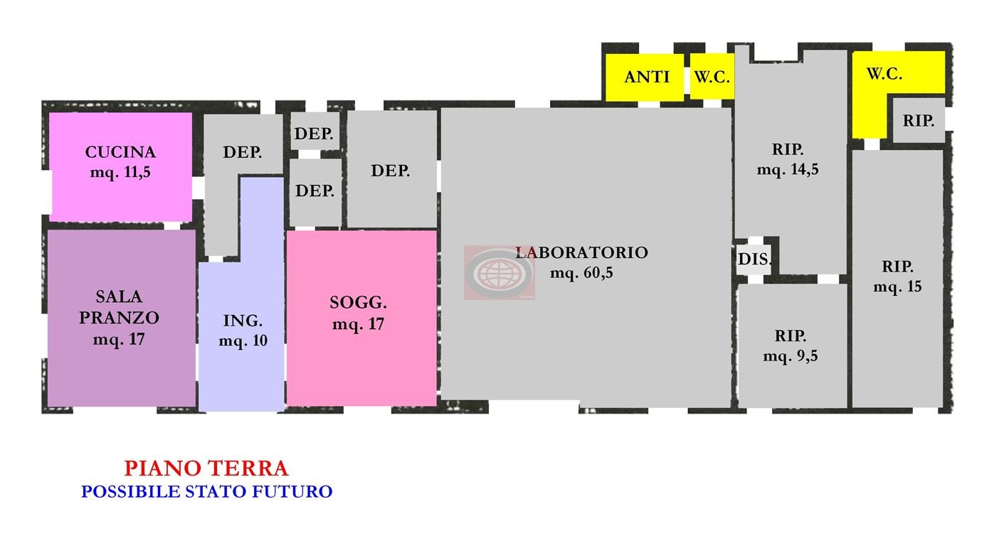 immagine annuncio 3 di 13