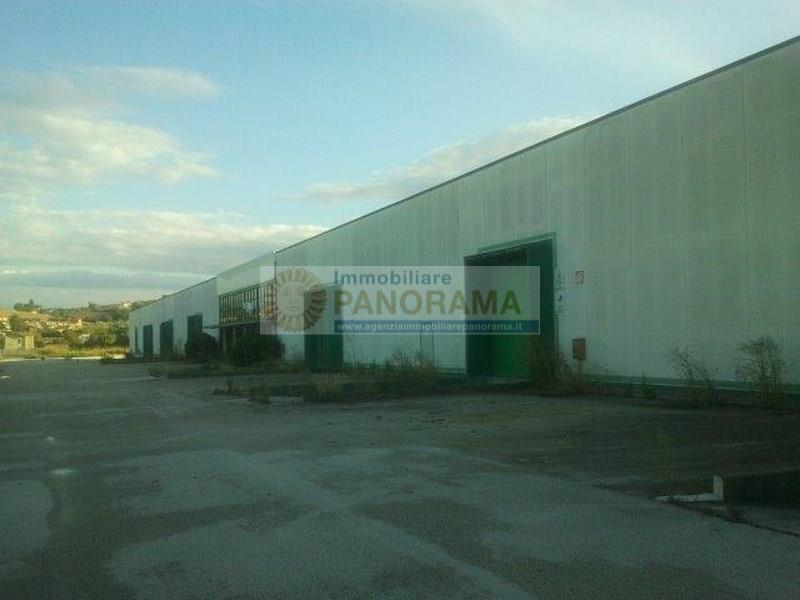 Rif. GG08 Vendesi/Affittasi capannone a Osimo