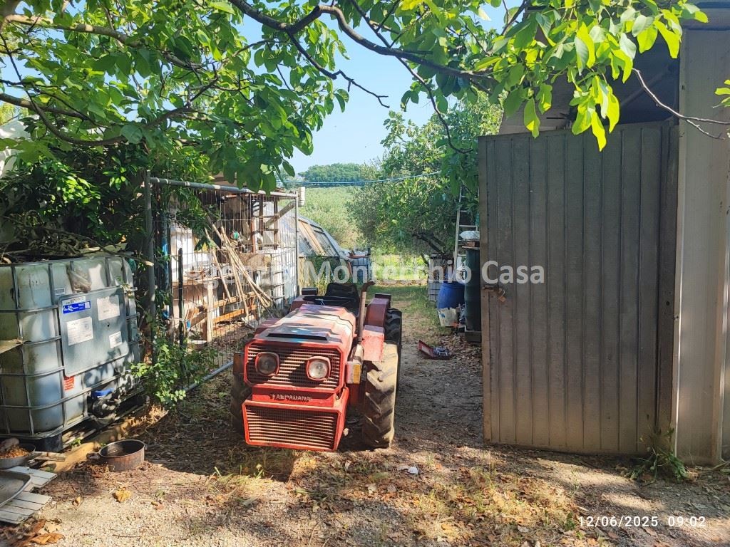 immagine annuncio 9 di 15