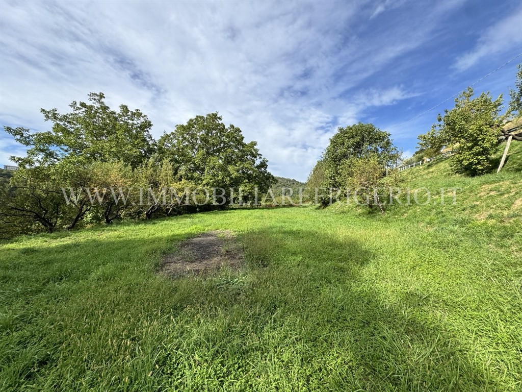 Vendita terreno agricolo Cisano Bergamasco superficie 2840m2