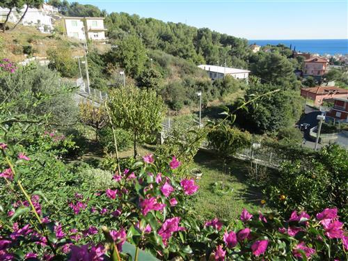 Alassio, primissima collina, vendesi villa con giardino e bellissima vista mare .