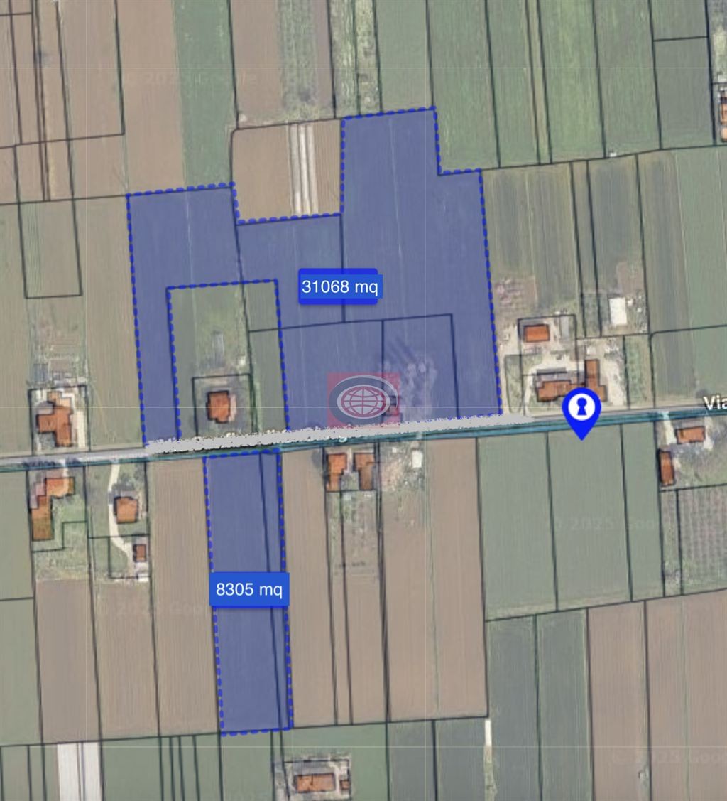 immagine annuncio 1 di 2