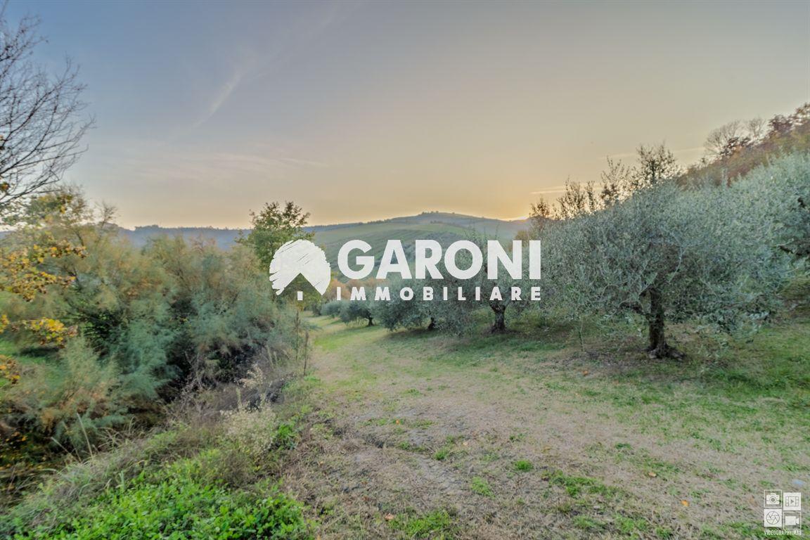 immagine annuncio 4 di 6