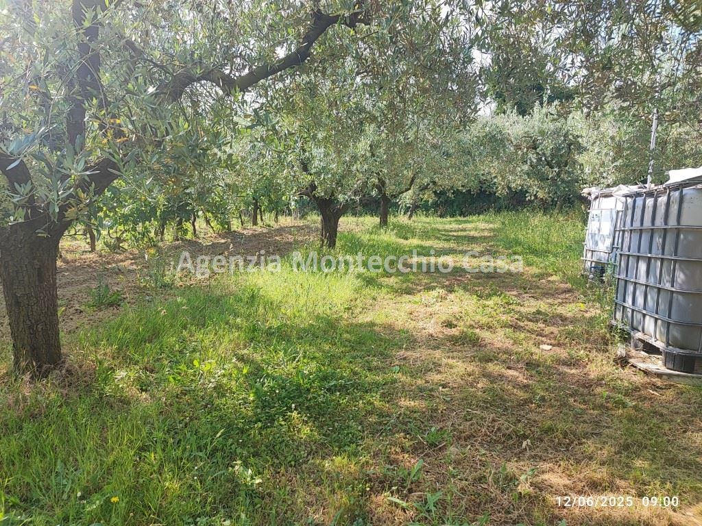 immagine annuncio 6 di 15