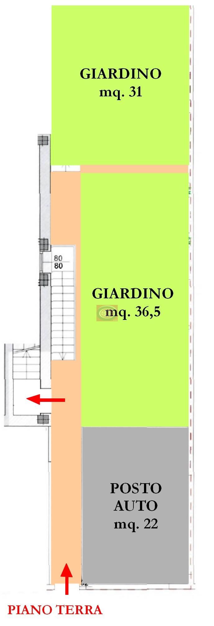 immagine annuncio 3 di 15