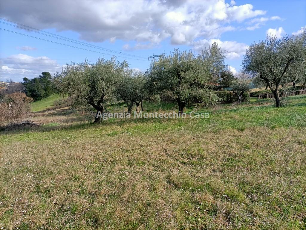 immagine annuncio 1 di 7