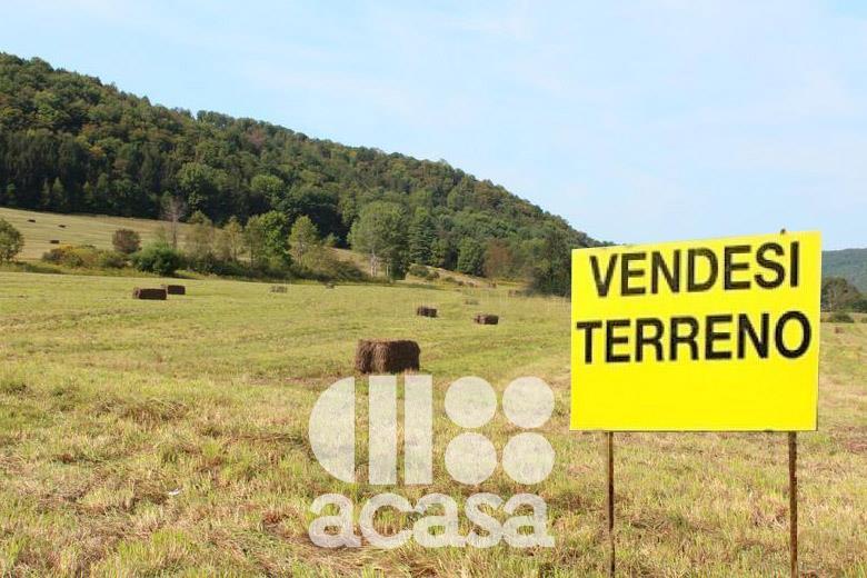 immagine annuncio