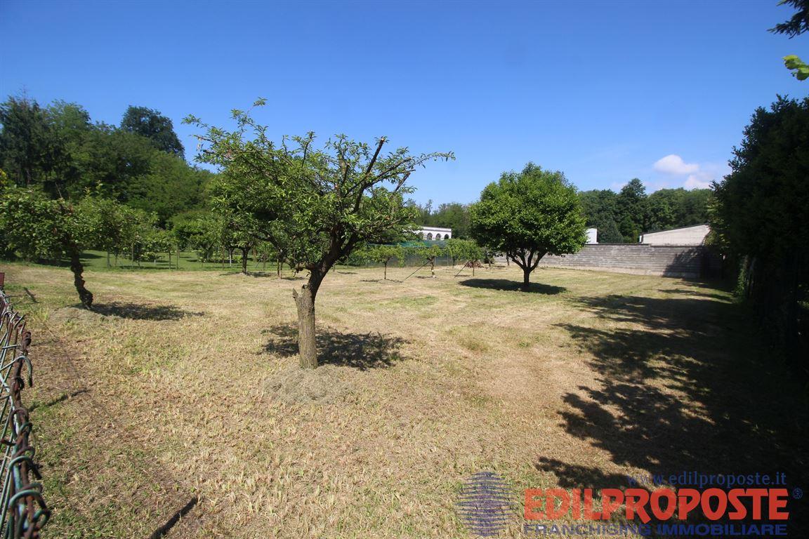 immagine annuncio 11 di 15