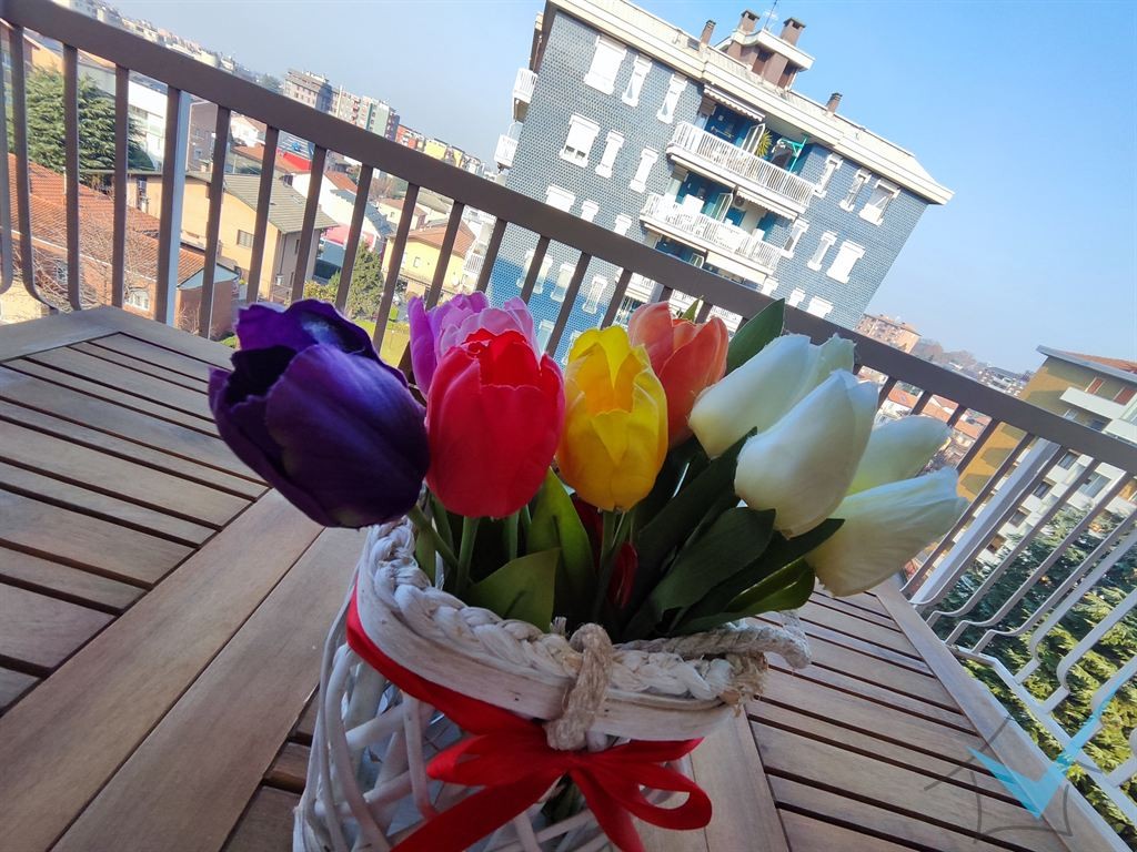 immagine annuncio 10 di 15