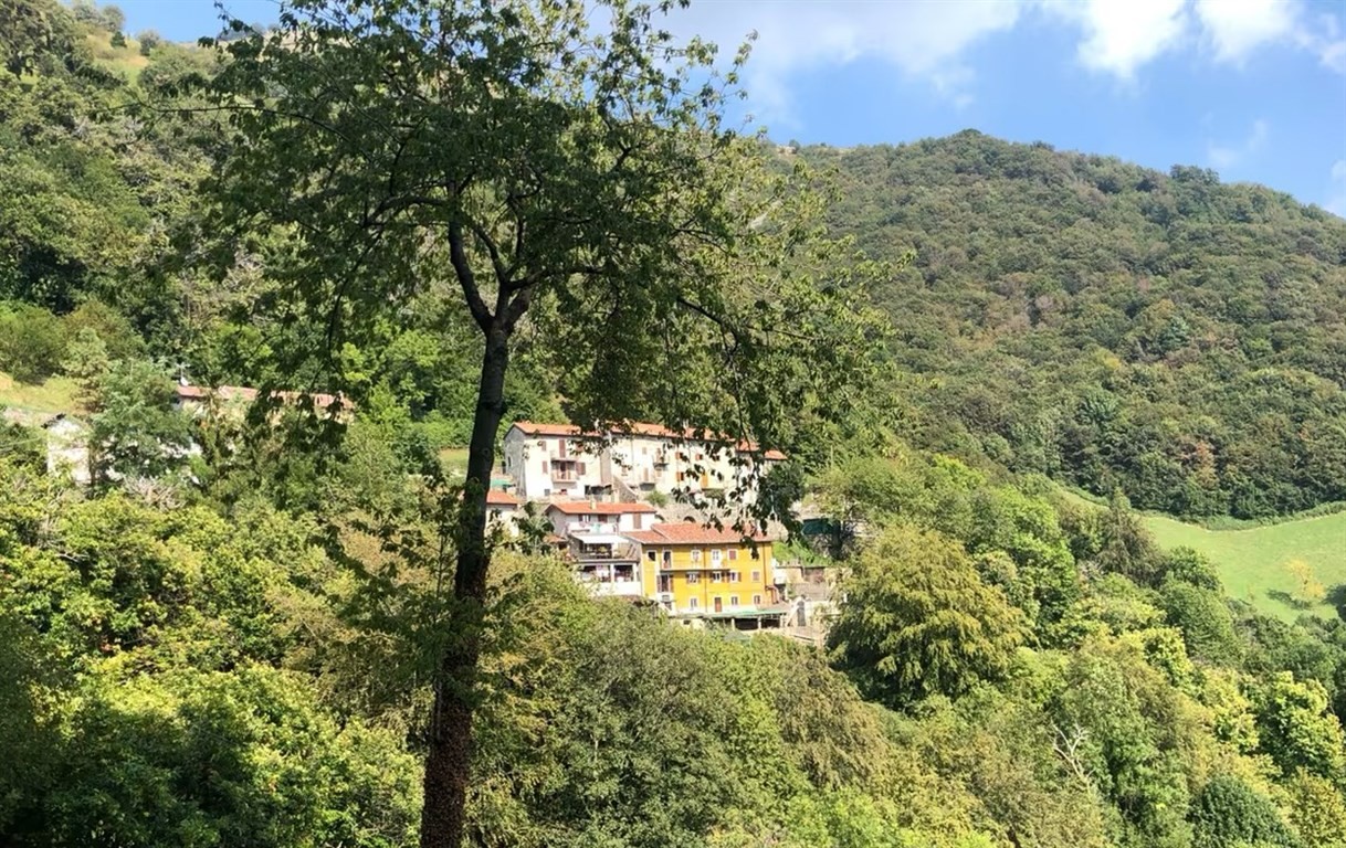 Vendita casa indipendente Torre de' Busi superficie 240m2