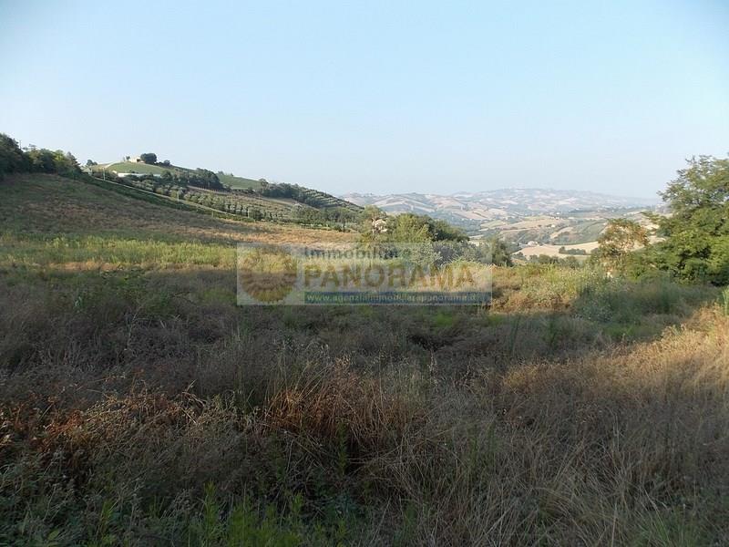 Rif. LC1634 Casale in vendita a Castignano con terreno