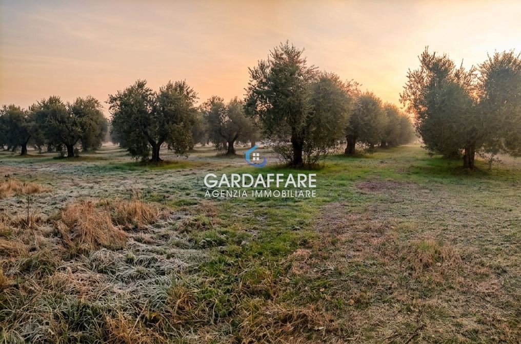 immobile al lago di garda