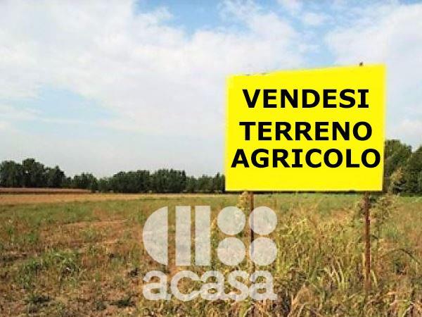 immagine annuncio
