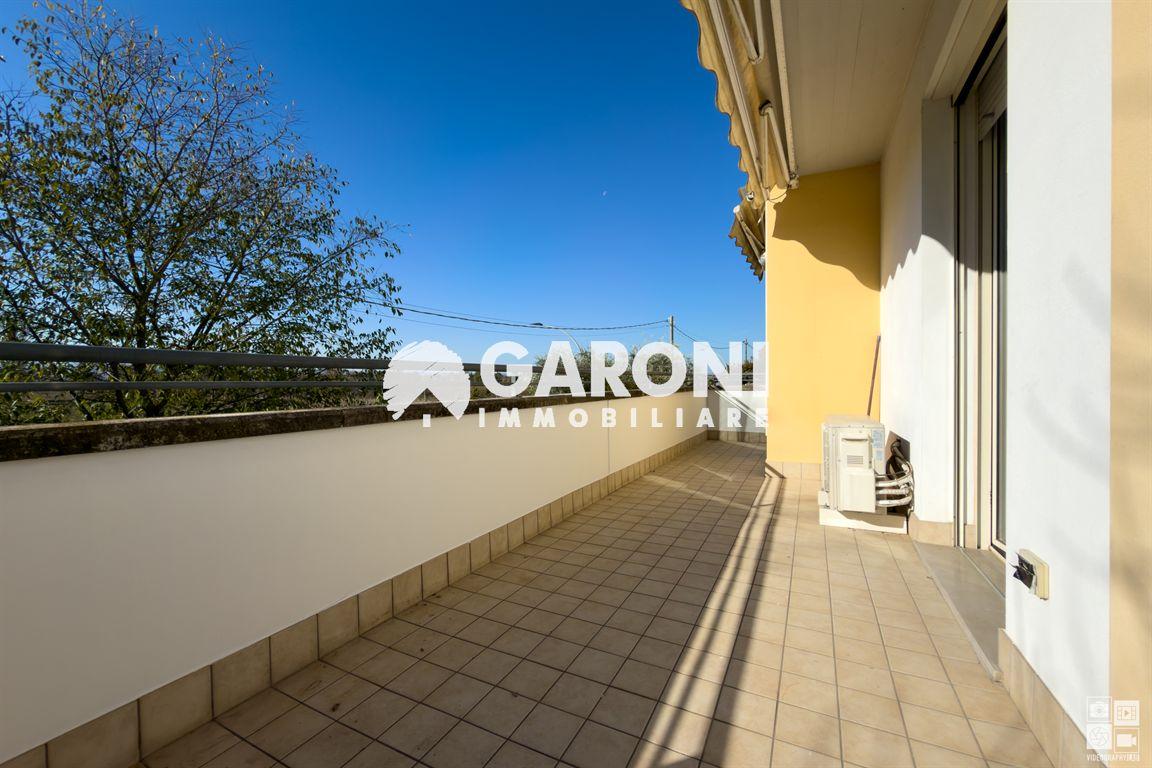 immagine annuncio 12 di 14