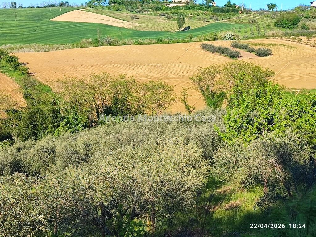 immagine annuncio 2 di 9