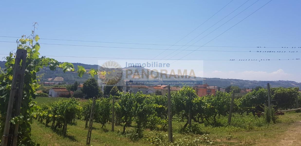 Rif. CVE14 Tenuta in vendita a Monteprandone